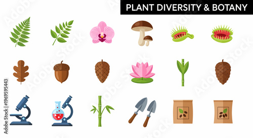 Plant Diversity Botany Icons Set.