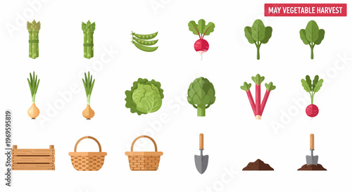 Vegetables and gardening tools icons.