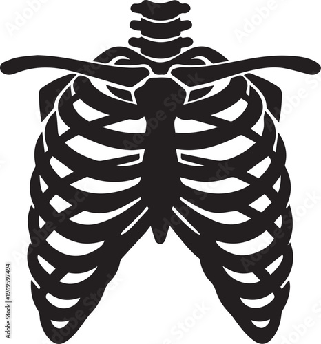 A minimalist black graphic illustration of the human rib cage and thoracic skeletal structure Vector, illustration
