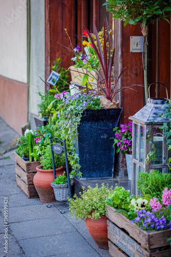 Vibrant garden scene with colorful flowers and charming planters outside a welcoming entrance