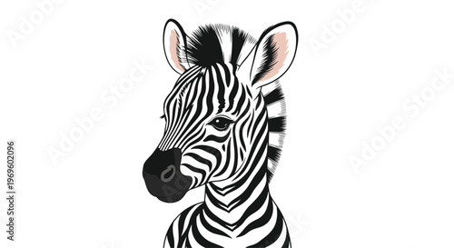 Detailed close up portrait of a zebra head showing its unique black and white stripe patterns on a clean white background for wildlife.
