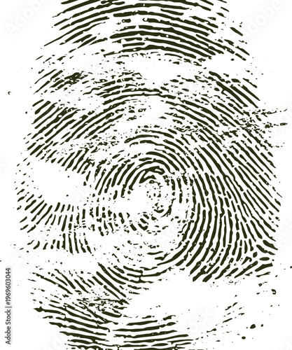 Dark olive green fingerprint pattern with concentric ridges on white background