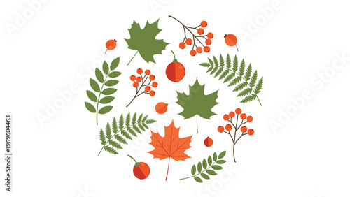 Beautiful circular arrangement of autumn leaves in green and orange along with red berries and ferns in a fall season themed illustration.