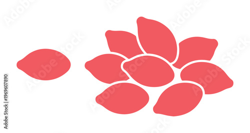 Red seeds vector illustration, a vibrant collection of plant seeds, botanical elements for agriculture and gardening designs, organic food ingredient graphic