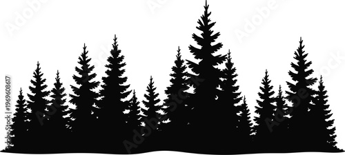 Pine forest silhouette landscape, evergreen trees border vector illustration isolated black nature scene design element