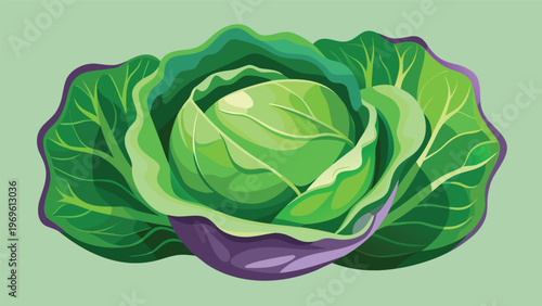 Fresh green cabbage sits on a light background showcasing its layers and natural shapes in a simple layout