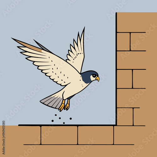 Flying Peregrine Falcon, Bird of Prey, Wildlife Illustration, Vector Graphic
