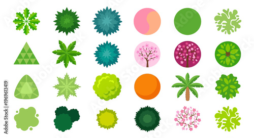 Colorful top down view of various stylized trees and foliage
