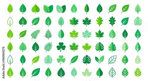 Assorted green leaves in various shapes and shades digitally illustrated