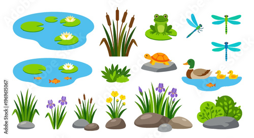 Colorful pond life illustration featuring frogs turtles and various plants