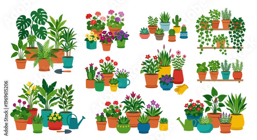 Colorful collection of potted houseplants and gardening tools on white background
