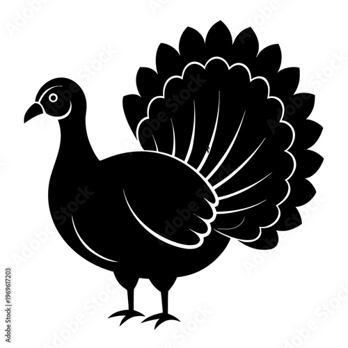 A graceful peacock displaying its magnificent tail feathers Vector