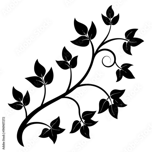 Elegant black and white illustration of a leafy plant branch Vector