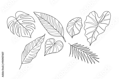 This vector illustration features a diverse collection of leaves, blending tropical and garden foliage with clean lines, scalable precision, and natural harmony for eco‑friendly designs.