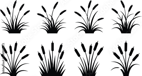 Cattail grass silhouette, detailed black vector of marsh vegetation wild reeds and riverbank plants for nature landscape and botanical illustration.