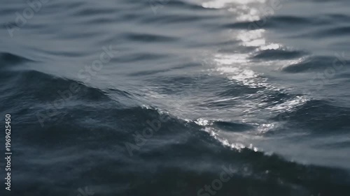 Water surface with gentle waves reflecting sunlight, creating shimmering patterns in a tranquil aquatic environment, showcasing the beauty of nature's elements