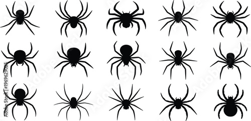 Fifteen black spider silhouettes in different poses on a white background Keywords: spider, silhouette, insect, arachnid, creepy