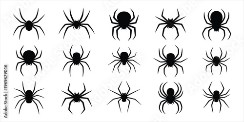 Fifteen black spider silhouettes in different poses on a white background Keywords: spider, silhouette, insect, arachnid, creepy
