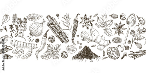 Herbs and spices hand drawn collection