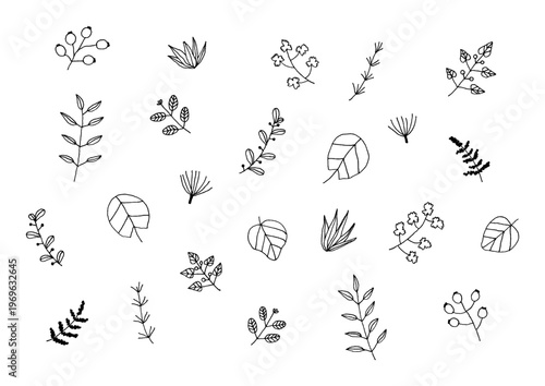 葉っぱや木の実などの植物の手描きイラストセット（黒）