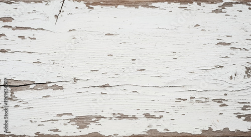 White wood wall. Wood white texture and background. Old wooden plank painted in white color. Natural white wood texture.