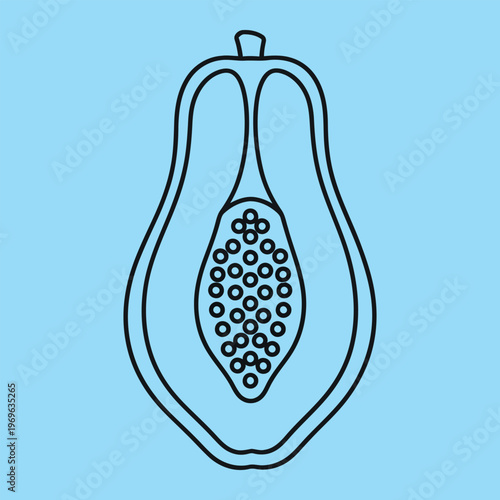 Black line of a cut open guava with seeds on light blue background fruit line minimal black lines