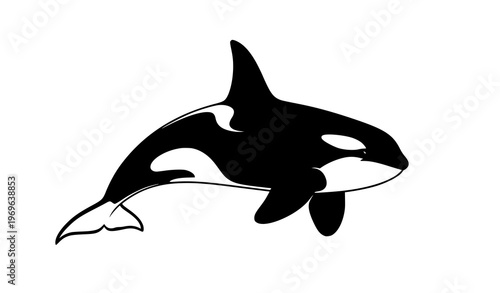 Killer Whale Silhouette Orca Icon Marine Vector