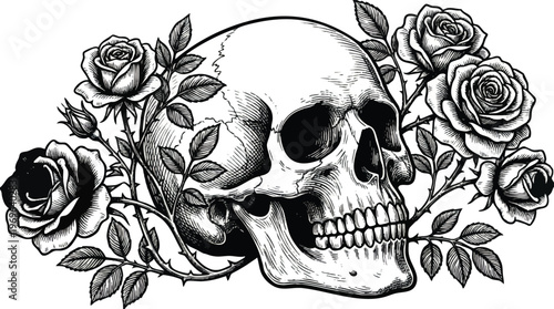Human Skull Surrounded by Blooming Roses and Thorny Stems.
