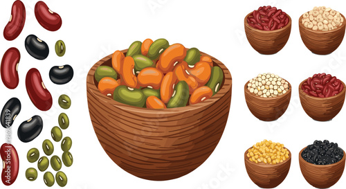Collection of organic legumes and beans in wooden bowls including kidney black soybeans and mung beans for healthy diet nutrition cooking and vegan food vector design