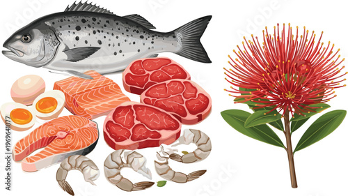 Collection of high protein food sources including fresh fish salmon steaks red meat shrimp and eggs beside a blooming red pohutukawa flower vector illustration