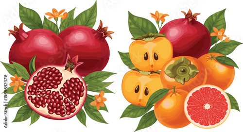 Set of fresh organic pomegranate persimmon and orange fruits with green leaves and blossoms for healthy diet nutrition autumn harvest and tropical food vector illustration