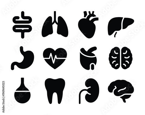 Medical Organ Icon Set – Brain, Heart, Lung, Liver, Stomach, Intestine, Urinary System Vector