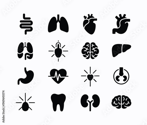 Solid Black Silhouette Human Organs – Medical and Anatomy Concept Icons