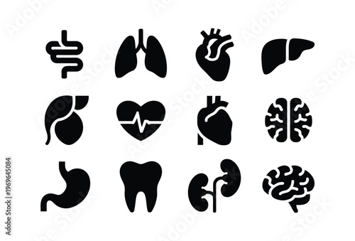 Human Organ Glyph Icon Set – Brain, Heart, Lung, Liver, Stomach, Intestine, Tooth & Urinary System Vector