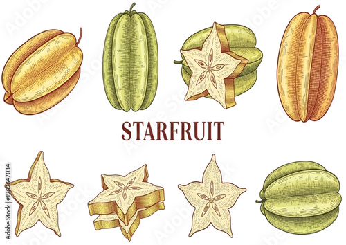 Set of various starfruit illustrations, whole and sliced
