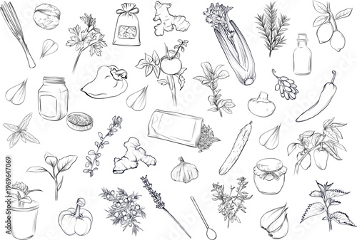 Schilderij op canvas Set with vegetables spices herbs and kitchen ingredients for cooking vector