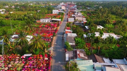 Aerial view of Phu Son village of bougainvillea blooms throughout Ben Tre, Vietnam