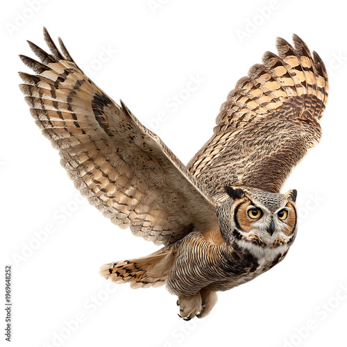 Majestic owl with outstretched wings in mid-flight against a clean white background