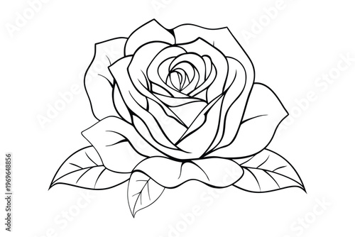 rose outline coloring book page line art vector illustration
