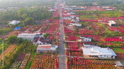 Aerial view of Phu Son village of bougainvillea blooms throughout Ben Tre, Vietnam