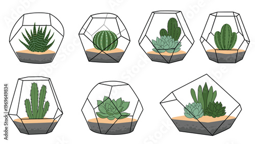Collection of various geometric glass terrariums containing green succulents and cacti on sandy soil base for home decor.