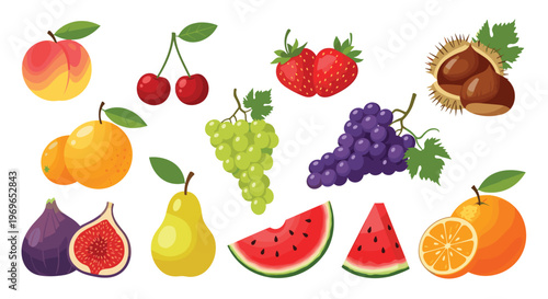 Large collection of realistic fruit and nut illustrations includes strawberries cherries grapes oranges watermelon pear and chestnuts.