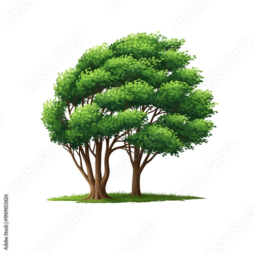 Lush green trees with dense foliage stand on a grassy area