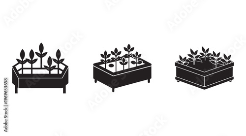 Black silhouette of three planters with plants growing in them on white background  planters with plants  gardening icons