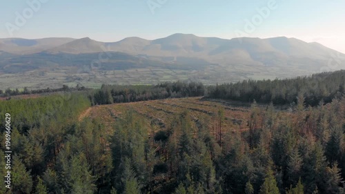 Aerial view reveals deforestation impact on Galty Mountains ecosystem, highlighting need for conservation and sustainable land use practices.