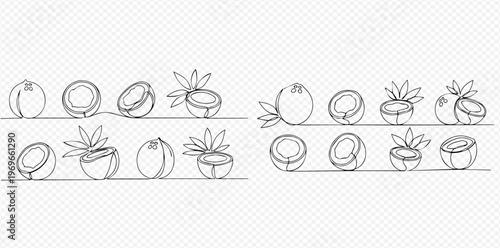 Set of continuous line art drawings of coconuts, whole and halved, with leaves, on a transparent background.
