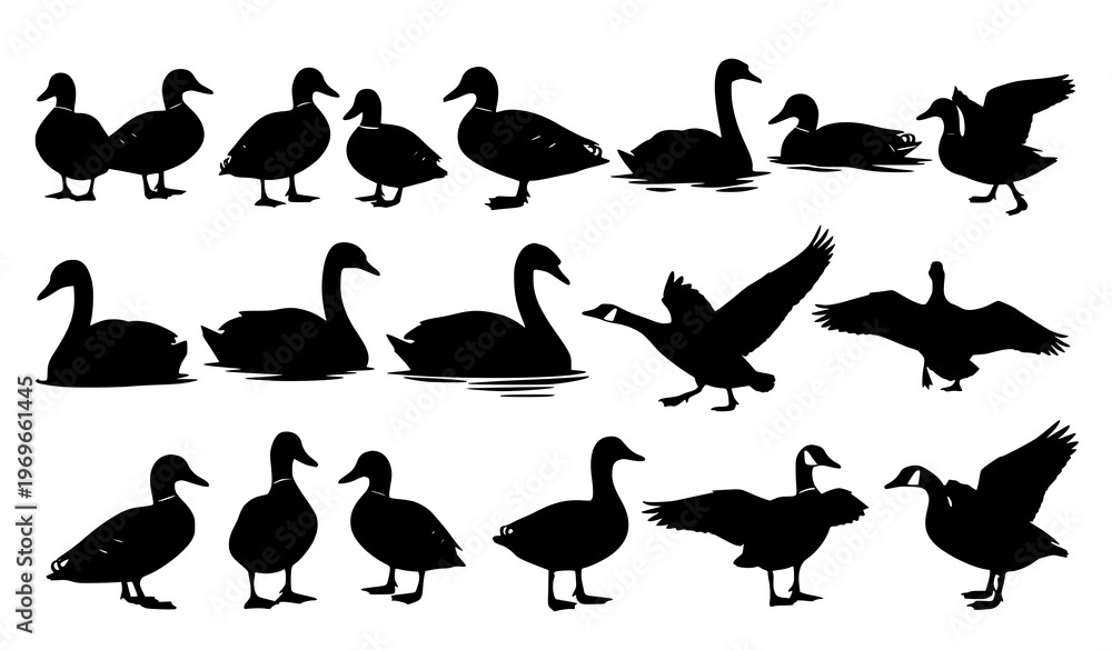 Fototapeta premium Waterbird silhouette vector collection – ducks, swans, and geese