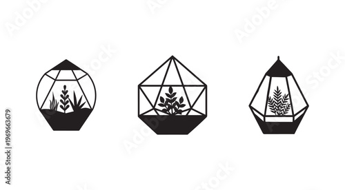 Geometric terrariums with plants inside  decorative glass containers for indoor gardening and home decor