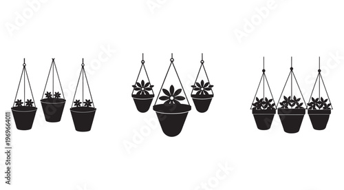 Hanging plants in pots on ropes  plants hanging from ceiling  indoor plants  potted plants  hanging planters  interior design  home decor  plants in hanging baskets