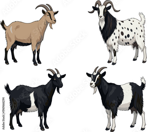 Flat Vector Collection of Goats in Different Colors and Patterns for Farm, Animal, and Livestock Design Projects